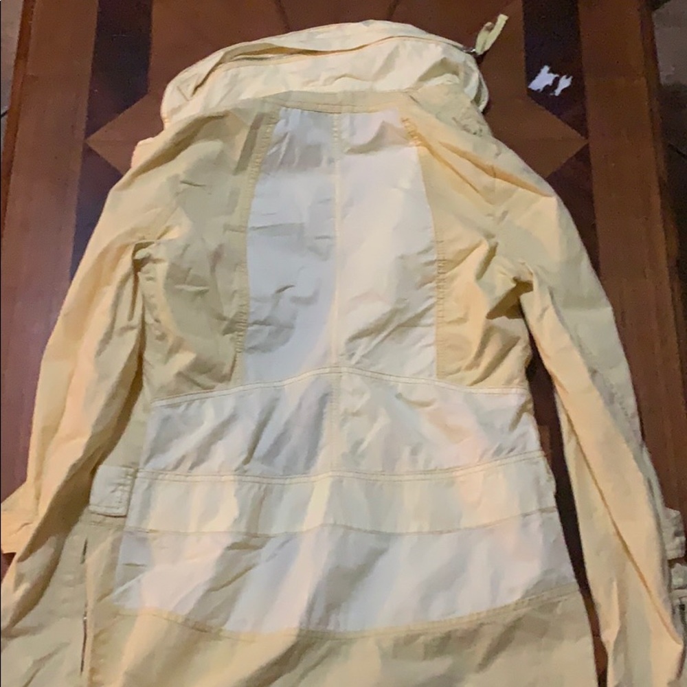 Yellow jacket - Picture 3 of 3